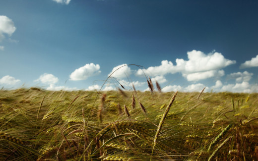 960328 (a): :2560x1600